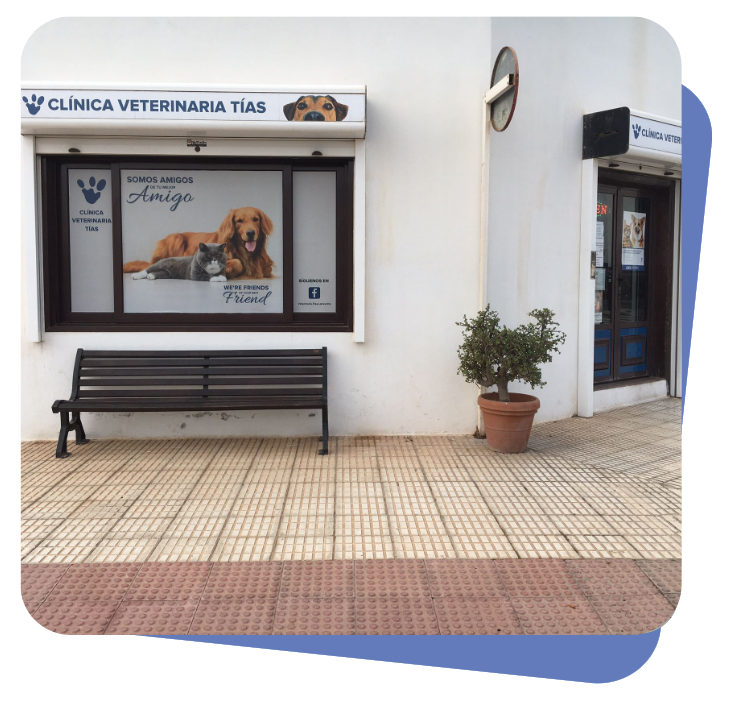 Clinica Veterinaria Tias Lanzarote Clinica Veterinaria Tias Lanzarote