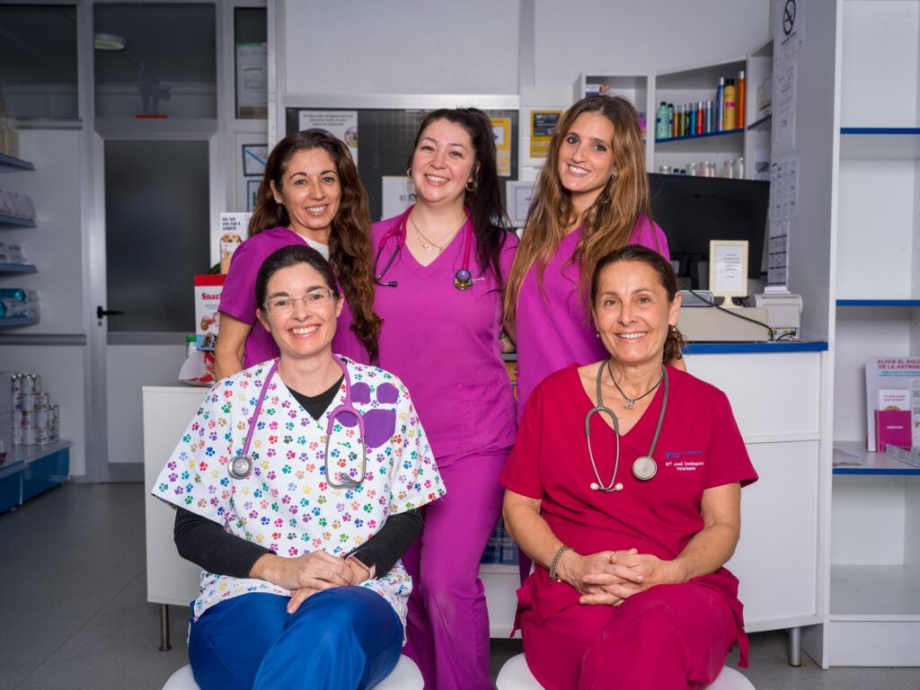 Equipo Veterinario Tias Lanzarote